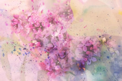 twig of lilac flowers and watercolor splashes