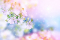 Blossoming Branch Apple