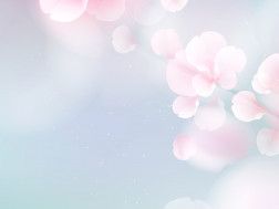 Blue & Pink Sakura Flowers