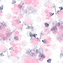 Japanese Sakura Blossom