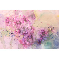twig of lilac flowers and watercolor splashes