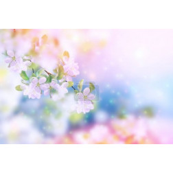 Blossoming Branch Apple