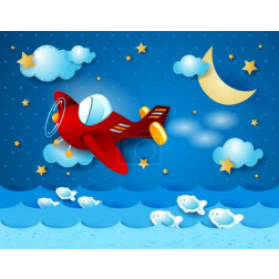 Red airplane over the sea