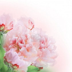 Floral background
